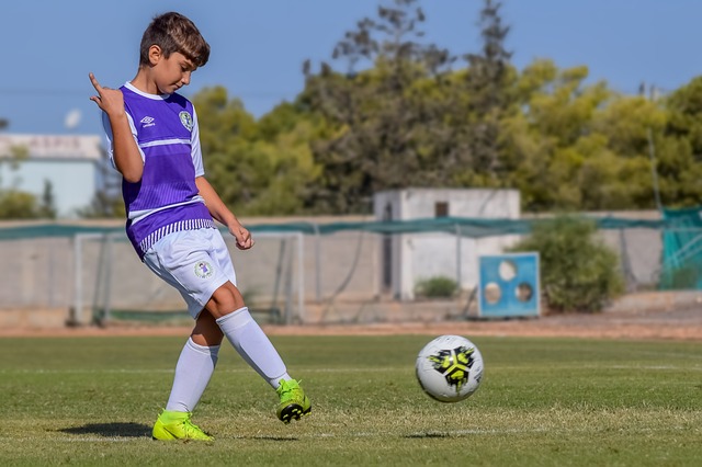 家队挖掘新 家队挖掘新