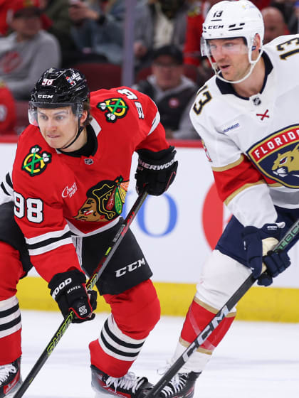 他们的光彩 他们的光彩